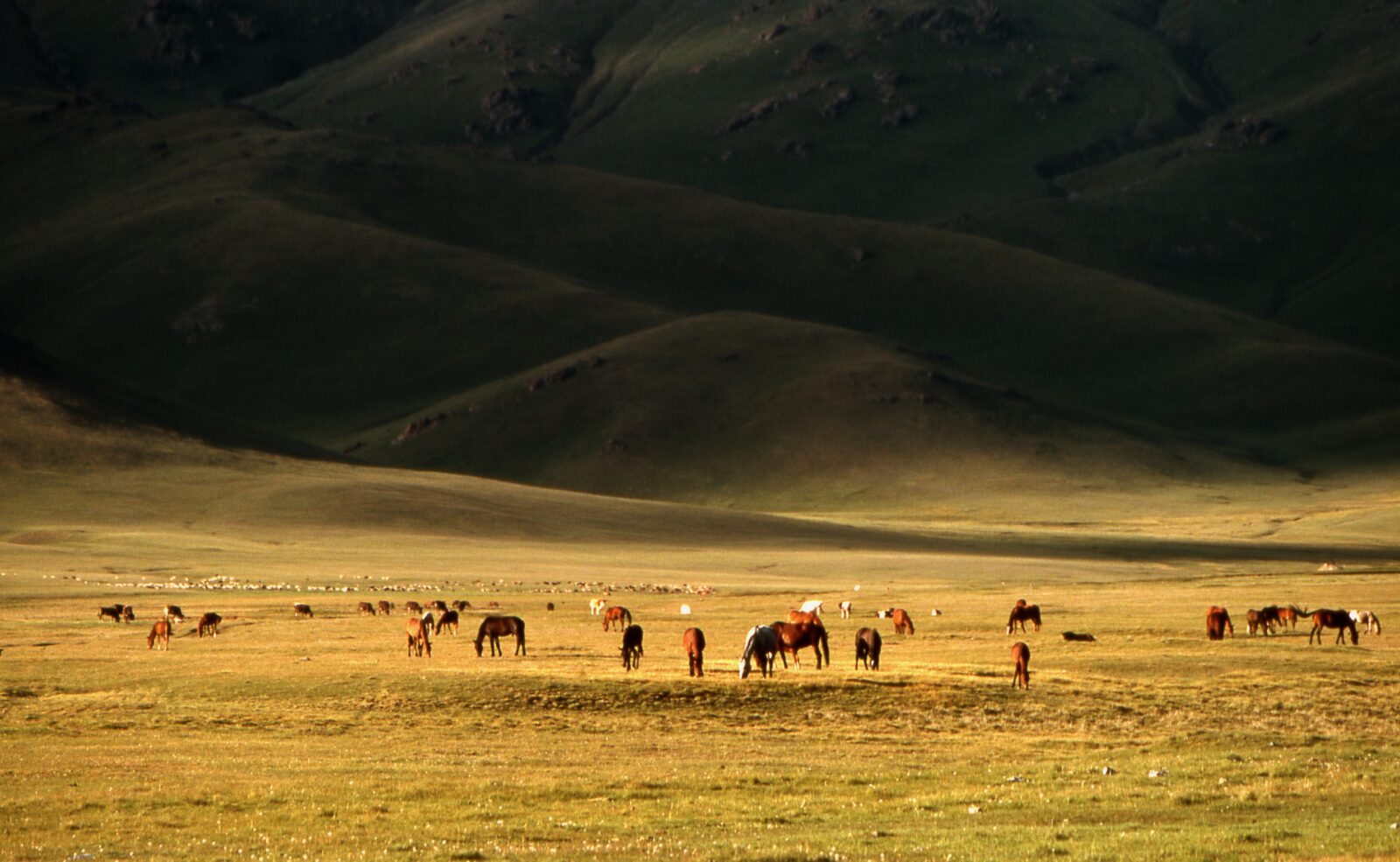 Sights in Kyrgyzstan 2 Sights in Kyrgyzstan 2