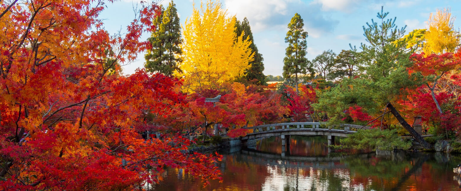 Where to Go To in Autumn: <br>Best Ideas