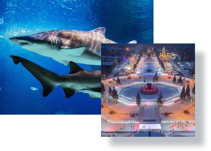 Top 10 Places to Visit in Moscow This New Year 4 Top 10 Places to Visit in Moscow This New Year 4